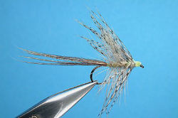 Picture of Hackle Mayfly