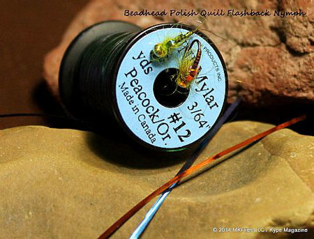 Picture of Beadhead Polish Quill Flashback Nymphs