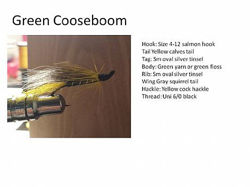 Picture of Green Cooseboom