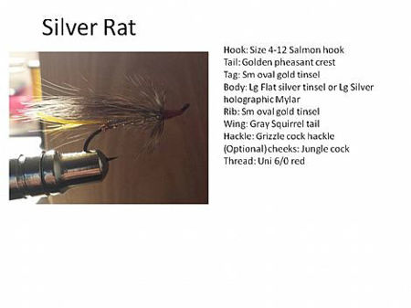 Picture of Silver Rat