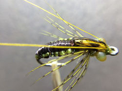 Picture of Caddis Pupa