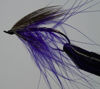 Picture of Purple Spey Variant